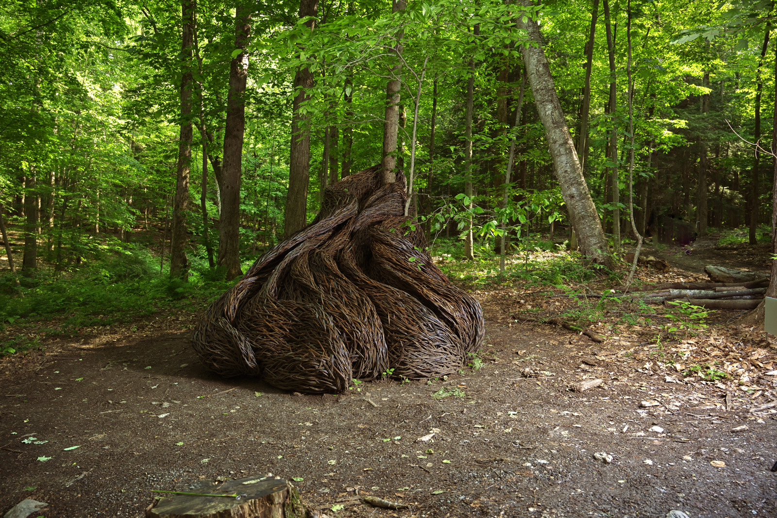 2. Laura Ellen Bacon, Gathering My Thoughts