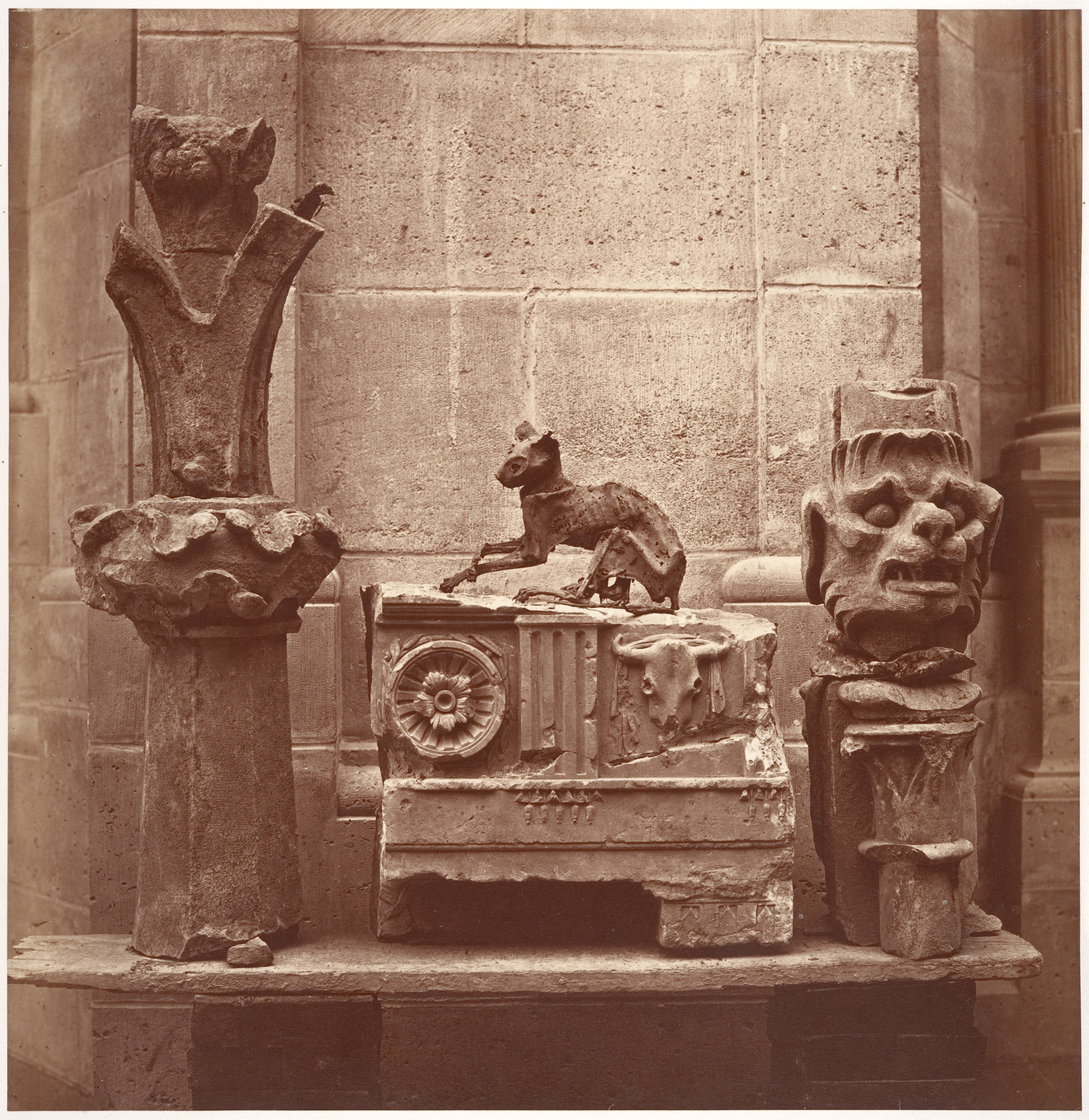 The Mummified Cat