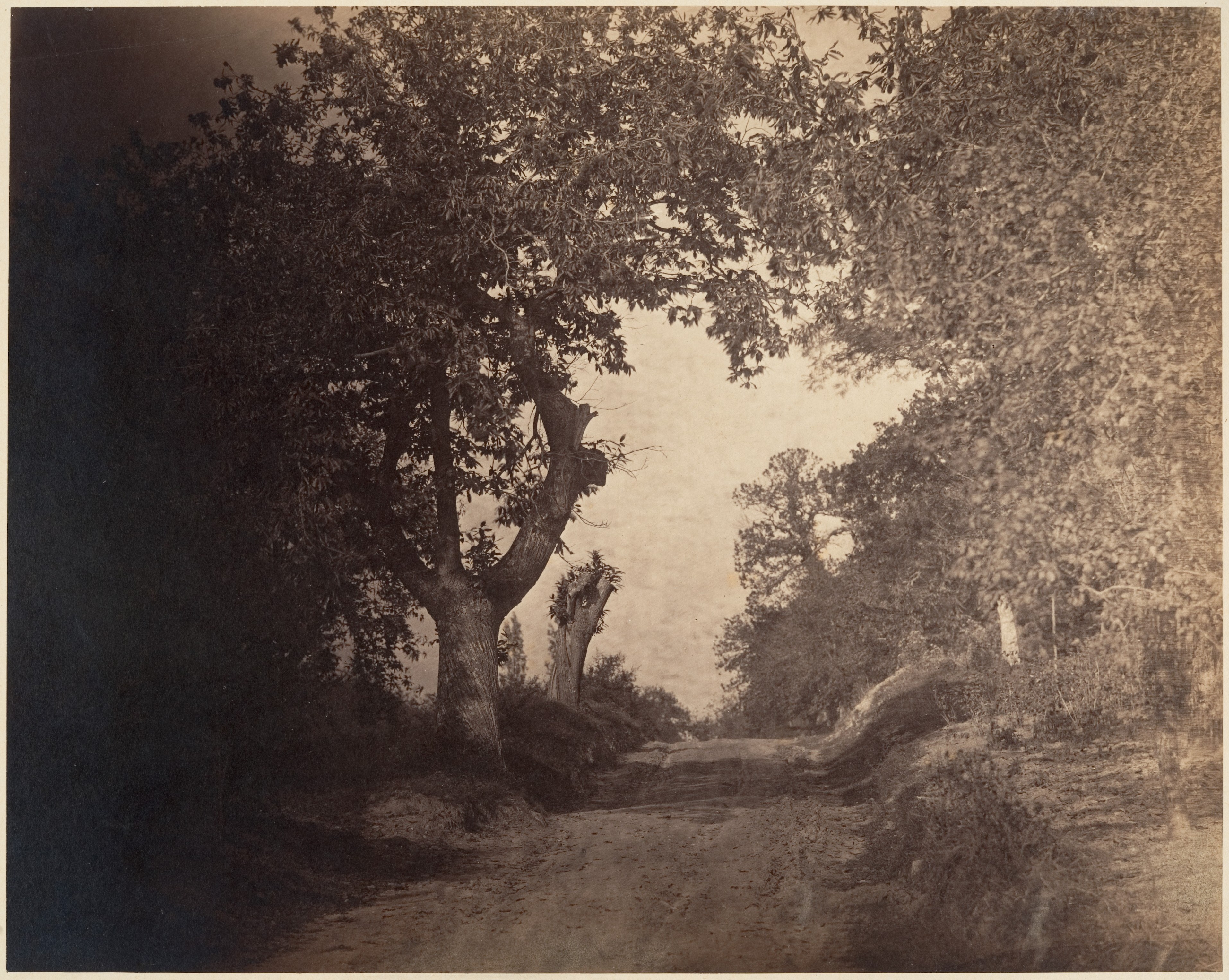 Rising Sandy Path